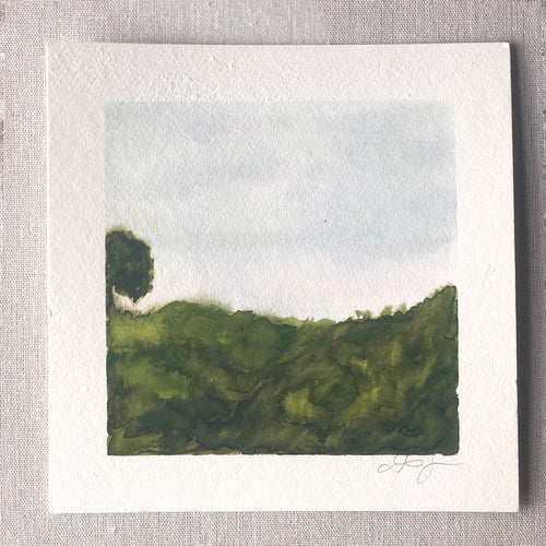 Landscape #11